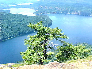 MtMax282.jpg